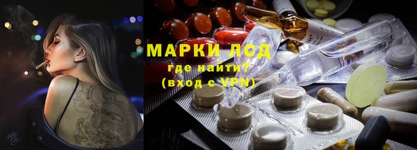 прущие грибы Коряжма