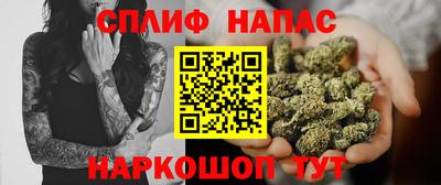 СК Новокубанск