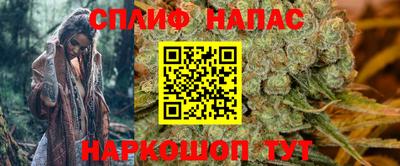 Альфа ПВП Новозыбков
