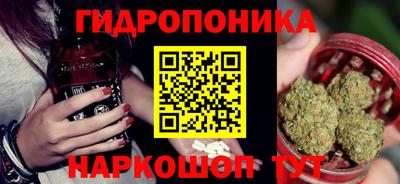 СК Новокубанск