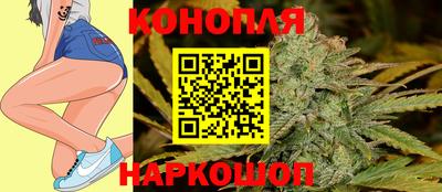 СК Новокубанск
