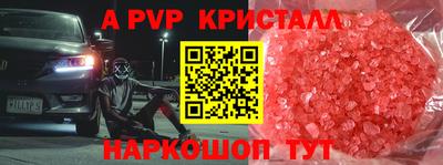 СК Новокубанск