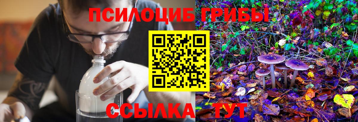 Хабаровск  Галлюциногенные грибы Psilocybe  Вход с VPN 